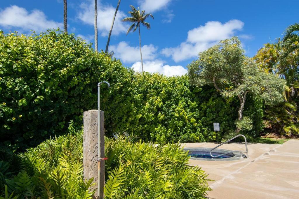 Lovely 1 Bedroom With Kitchen, Free Wifi & Parking Kapa'a Buitenkant foto